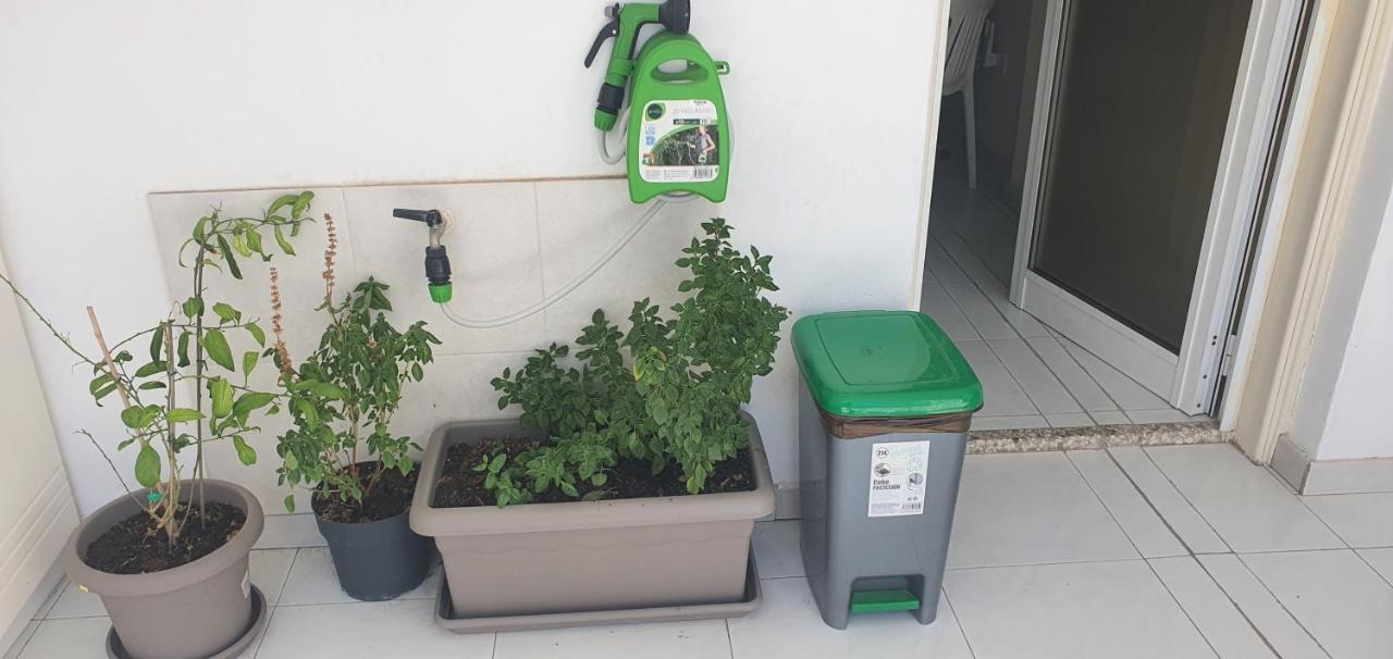Stefaris "Koutsou Court 105" Lägenhet Larnaca Exteriör bild